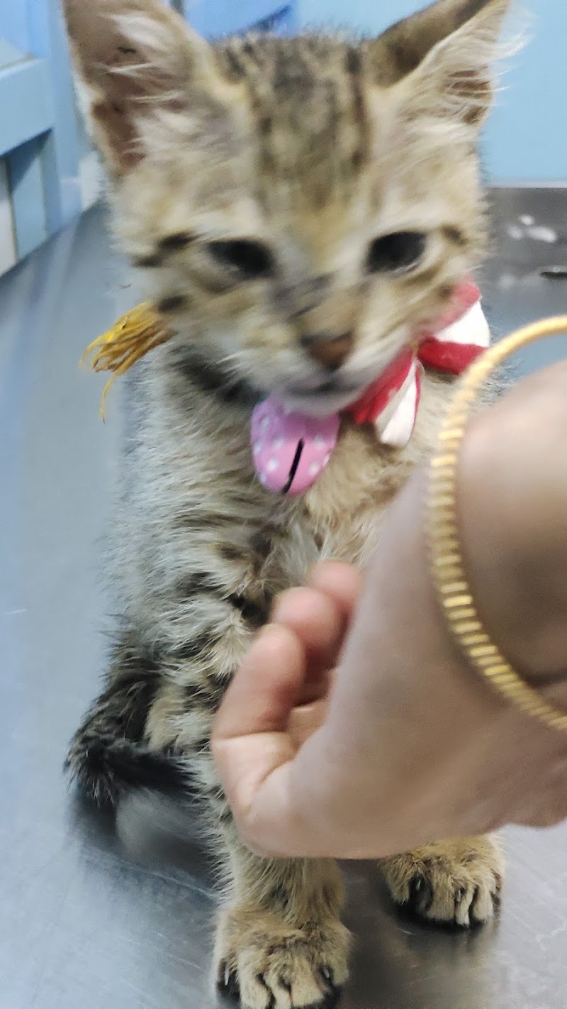 Paws Valley Pet hospital