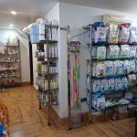 Dogs and cats clinic