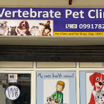 Vertebrate Pet Clinic