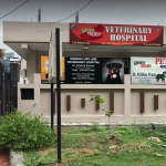Krishna Lifeline Veterinary Hospital