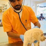 Dr. Doodley Pet Hospital Jayanagar – 24×7
