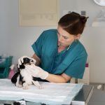 Cadovet Pet Clinic
