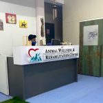 Animal Wellness & Rehabilitation Centre