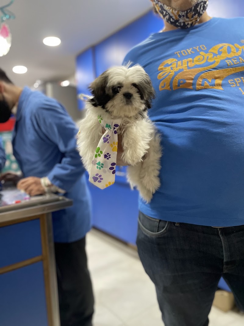 SJS Pet Care and Clinic