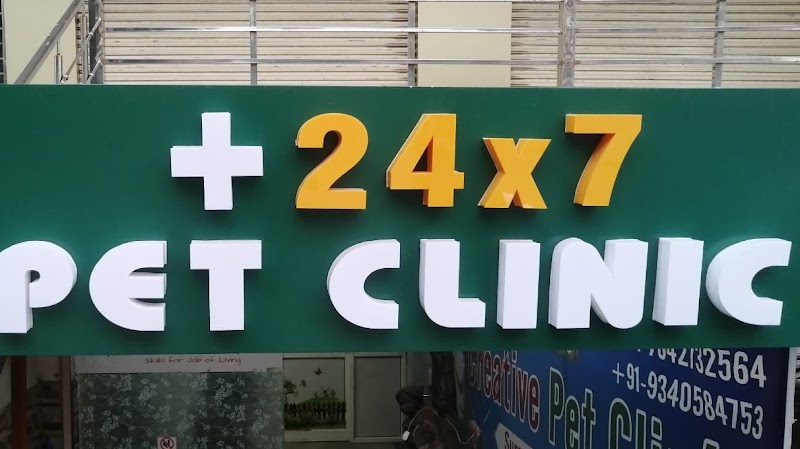 24X7 PET CLINIC