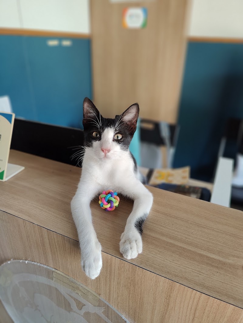 Critter Care Veterinary Clinic