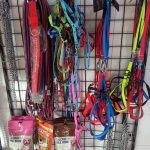 Dr. Gupta’s Pet Care Clinic