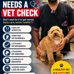 Healing touch pet hospital