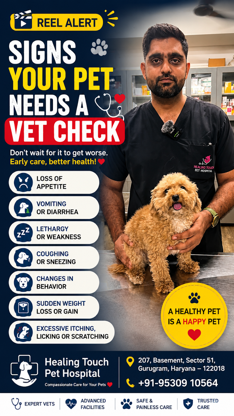 Healing touch pet hospital