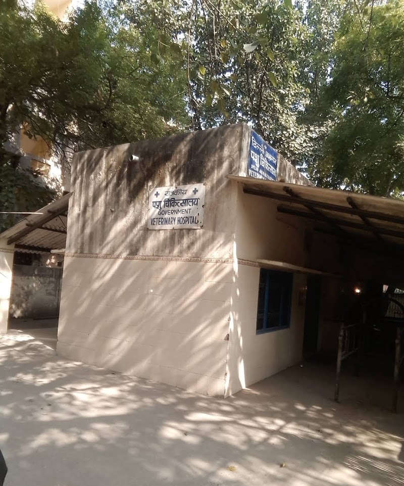 Government VETERINARY PET Hospital