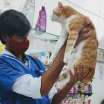 Harinika Veterinary Clinic