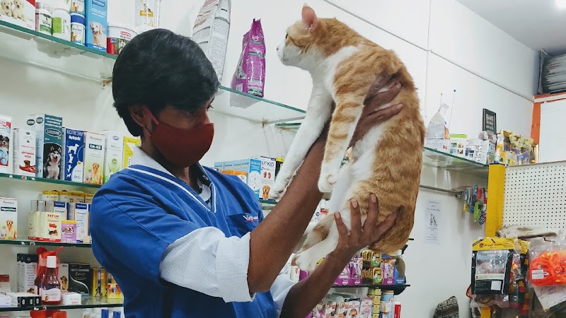 Harinika Veterinary Clinic