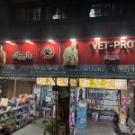 THE CITY PET SHOP & CLINIC