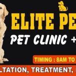 Elite pet Clinic