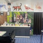 Testify Pet Clinic (Dog & Cat Clinic , Pet Grooming)