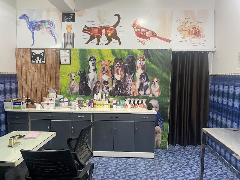 Testify Pet Clinic (Dog & Cat Clinic , Pet Grooming)