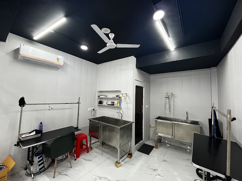 Dr. Whoof Pet Clinic – Dr. K. K. Gupta