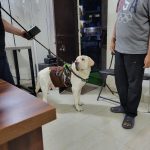 Shalimar Pet clinic
