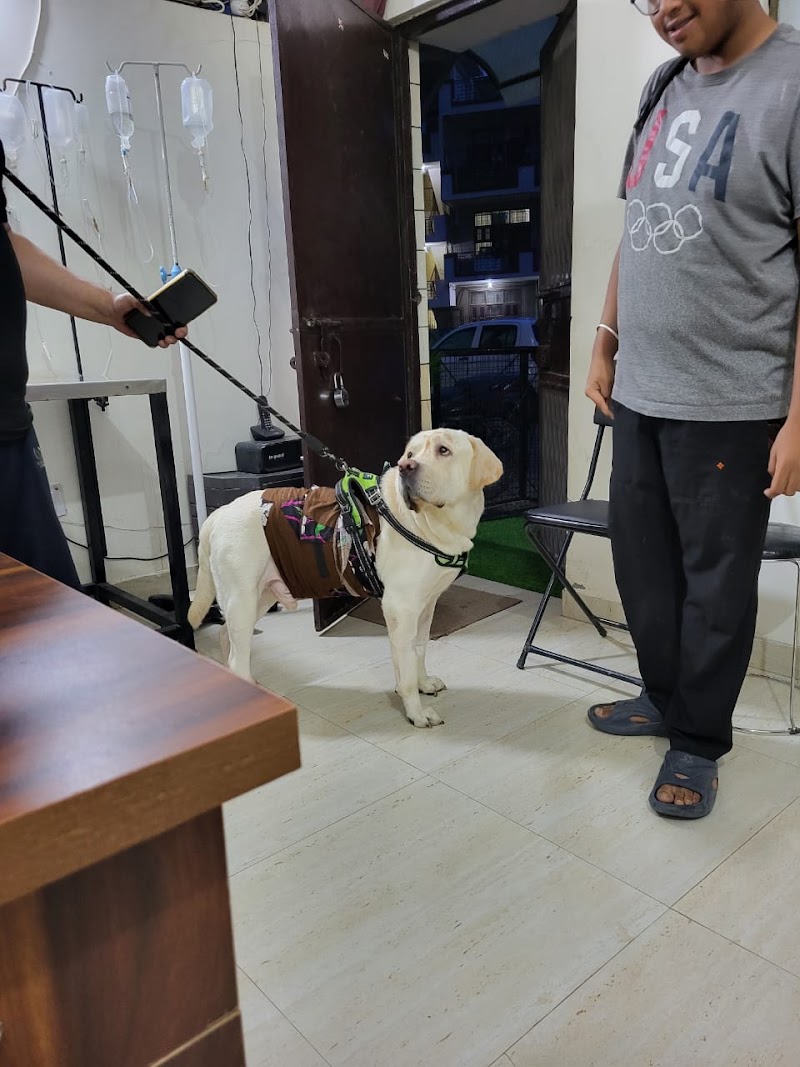 Shalimar Pet clinic