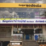 Bangalore Pet Hospital