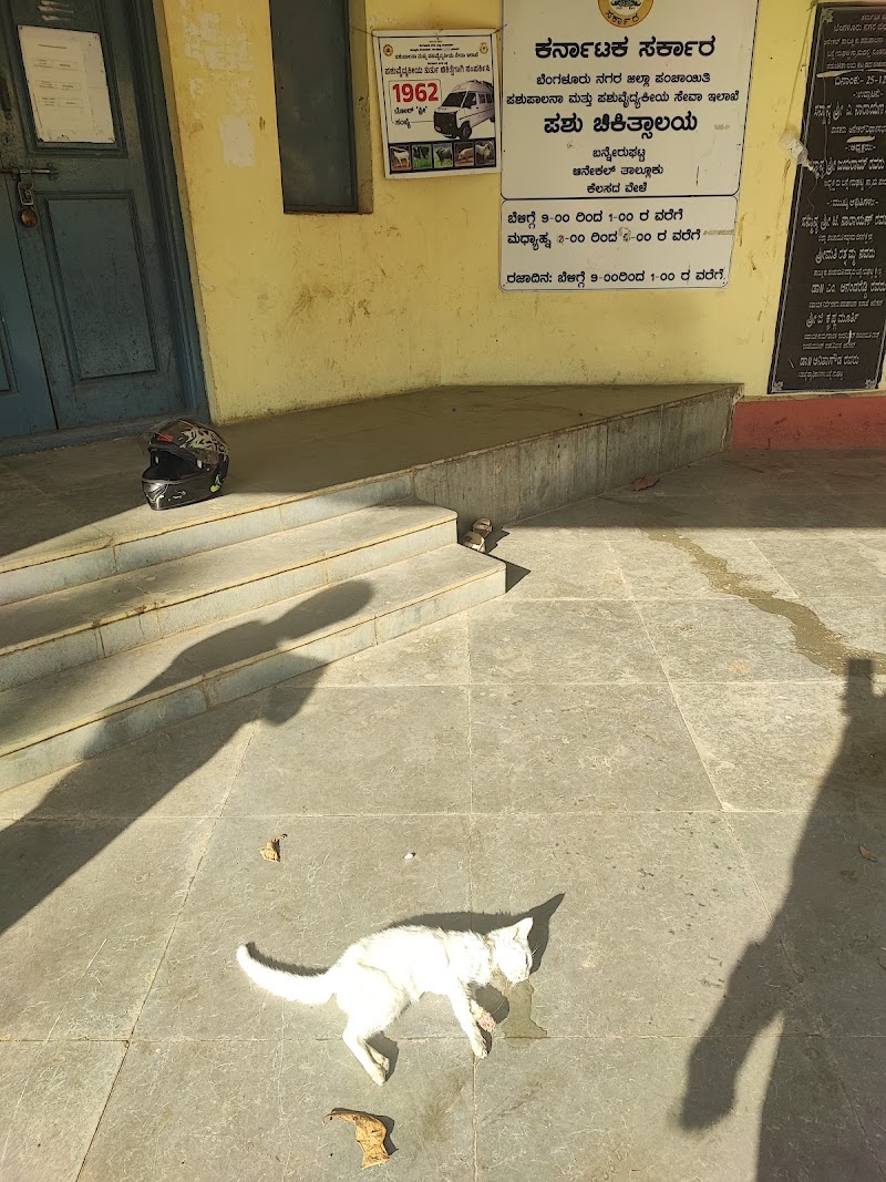 Veterinary Dispensary, Bannerughatta