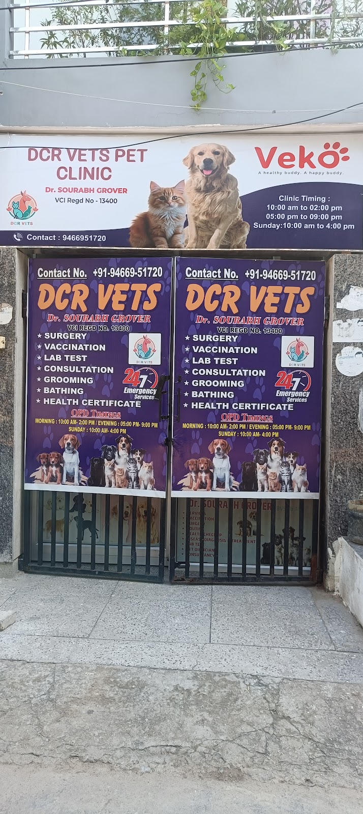 DCR Vets