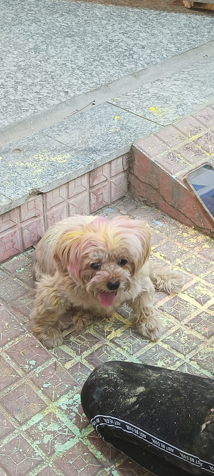 RD Pet Clinic