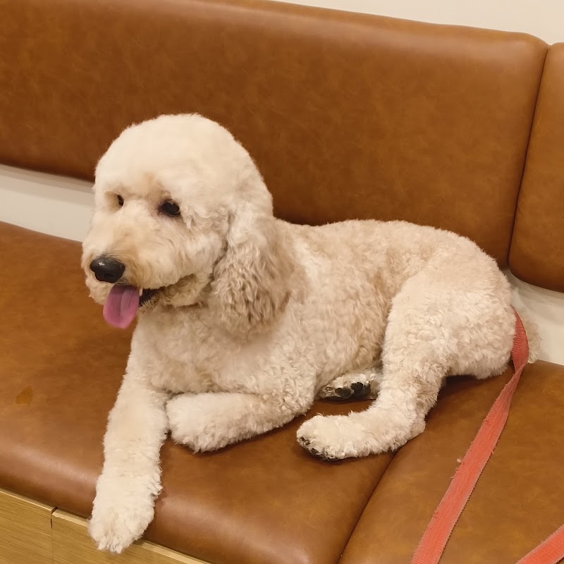 Dr. Paws HRBR Layout | Veterinary Clinic