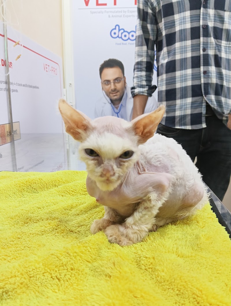 SKY VET ANIMAL CARE