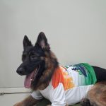 Dr Varsha’s Pet’s Wellness Center