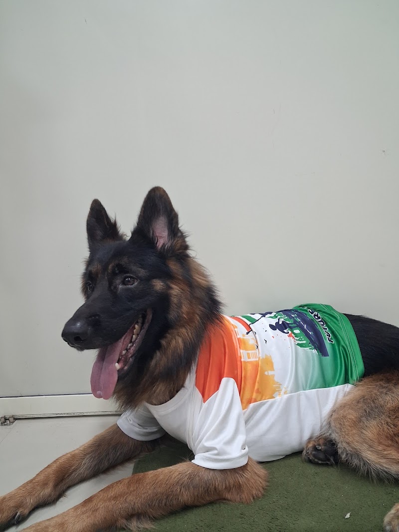 Dr Varsha’s Pet’s Wellness Center