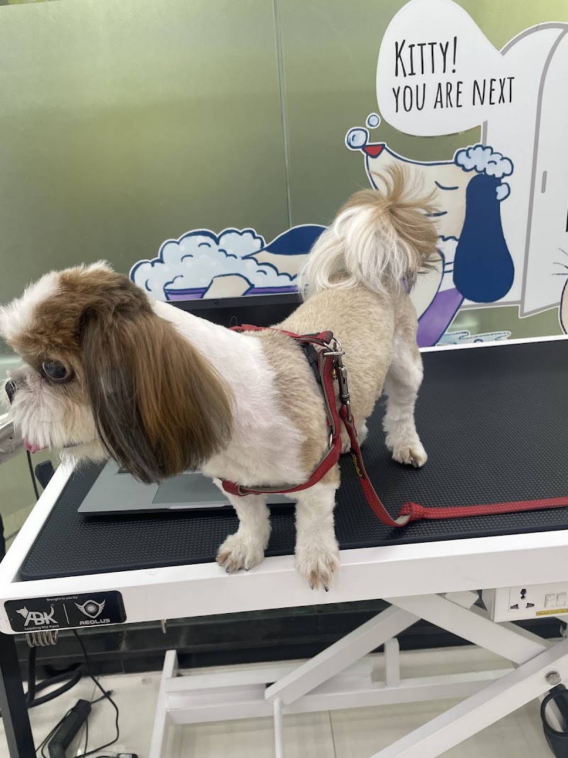 Zigly – Vet Clinic, Pet Grooming & Pet Products | HSR Layout