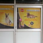 Najafgarh Dog Clinic