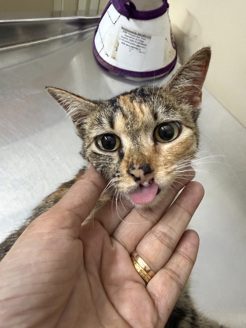 BTM VET clinic
