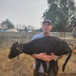 Animal Shelter Alipur NGO Pehal Ek Jeevan Ki