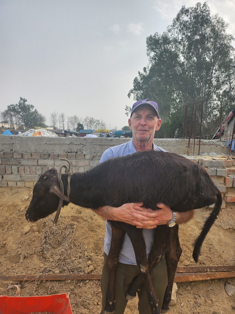 Animal Shelter Alipur NGO Pehal Ek Jeevan Ki