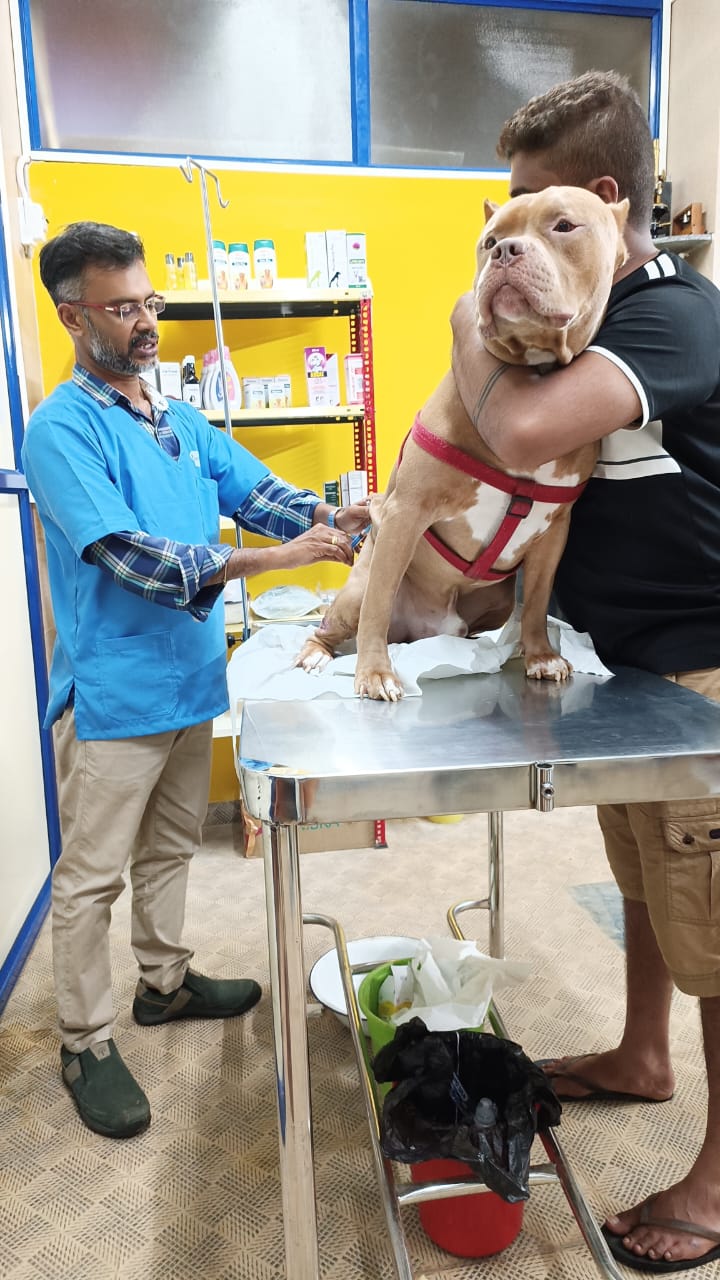 #108 PET CLINIC
