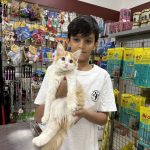 Fauna Veterinary Care