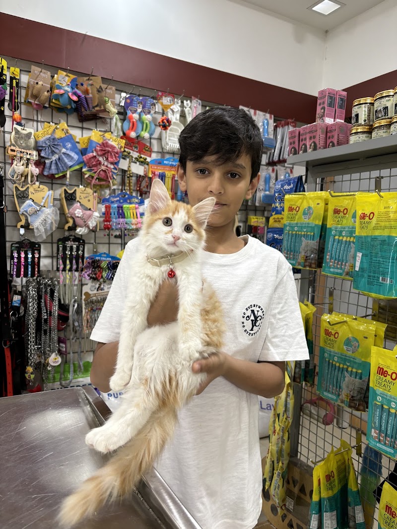 Fauna Veterinary Care