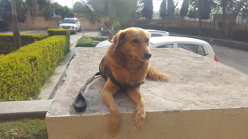 B.M.R PET CLINIC