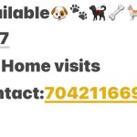 Vet doctor for pets Home visit 24/7 available , dogs,cats and birds on call and home visits 24/7