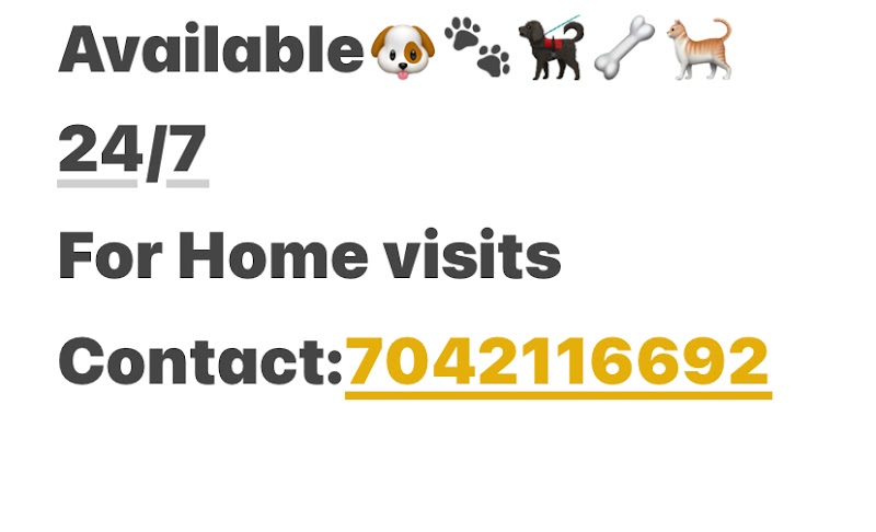 Vet doctor for pets Home visit 24/7 available , dogs,cats and birds on call and home visits 24/7