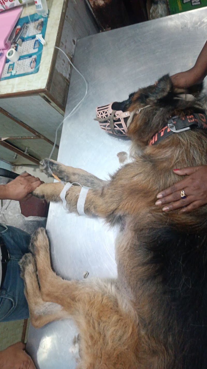 Dr. Sharma’s Pet Clinic