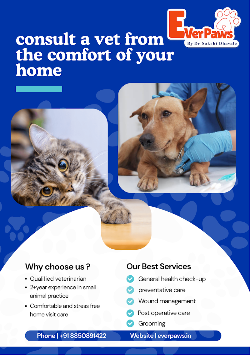 EverPaws Pet Clinic by Dr. Sakshi Dhavale | Home Visits only