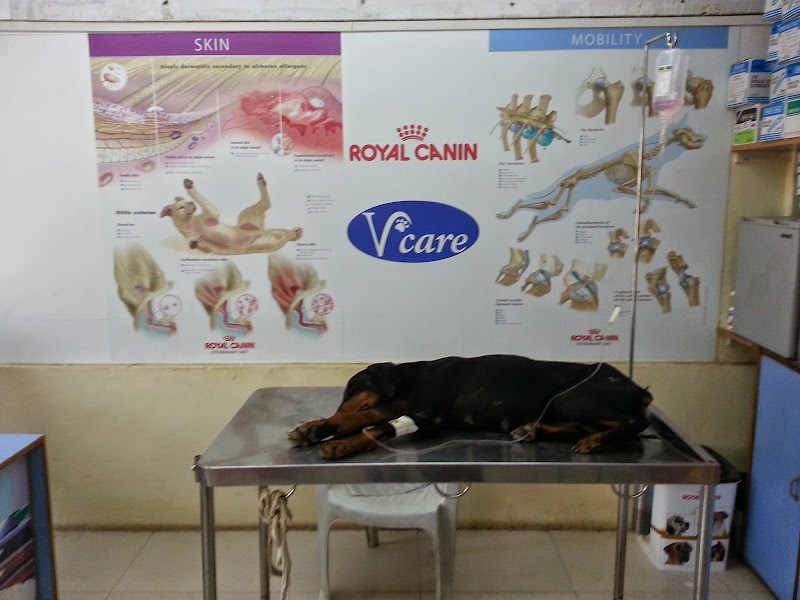 V-Care Pet Polyclinic