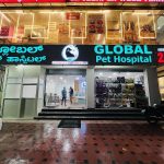 Global Pet Hospital
