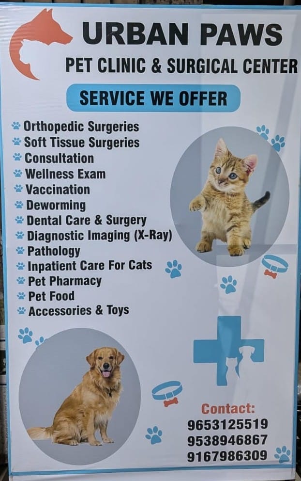 Urban paws pet clinic