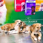 Pet Paradise Veterinary Clinic