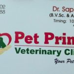 Pet Prime