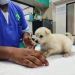 SKS veterinary hospital